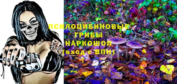 ECSTASY Баксан