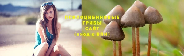 герыч Балахна