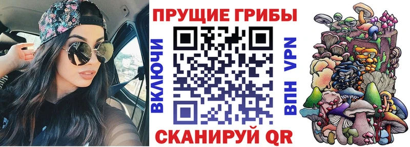 Псилоцибиновые грибы Cubensis  дарнет шоп  Сосногорск 